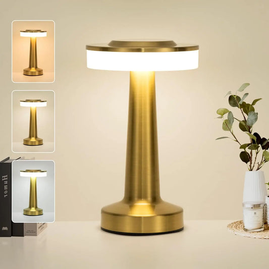 Plex Lamp