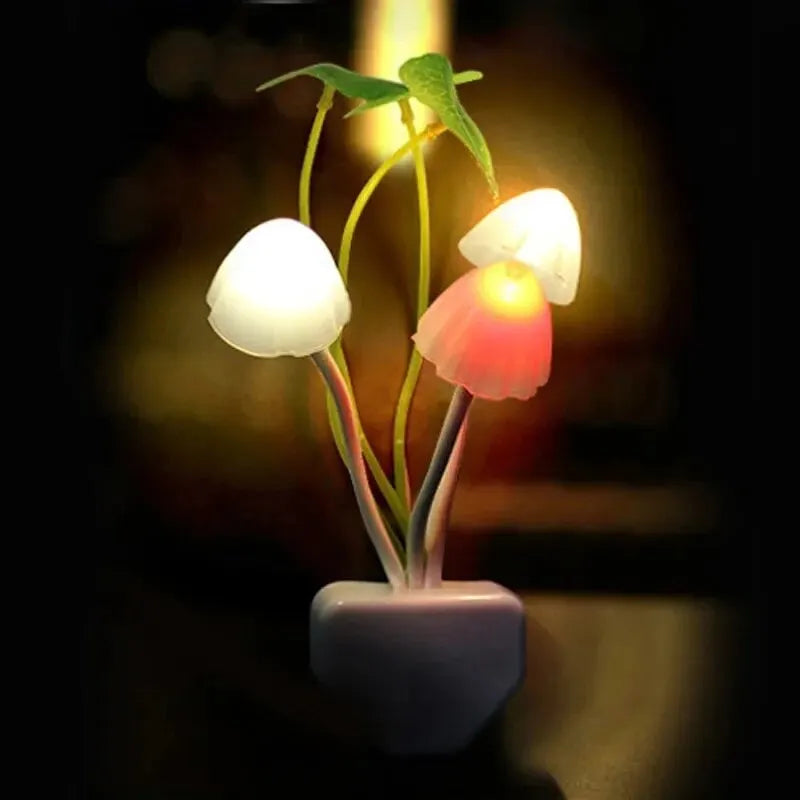 Plex Lamp