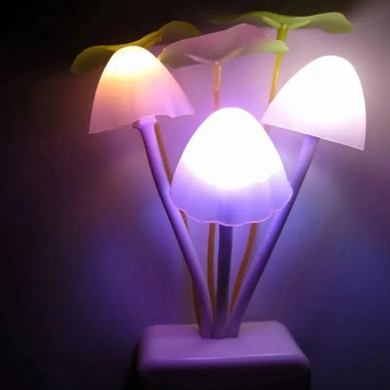 Plex Lamp